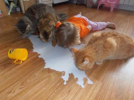 nousecrying over spilled milk.jpg